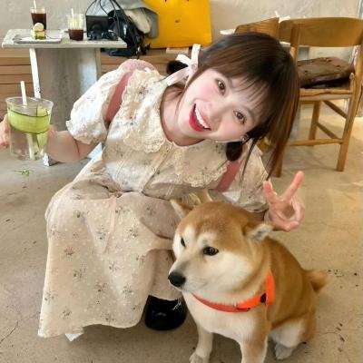 波托先生